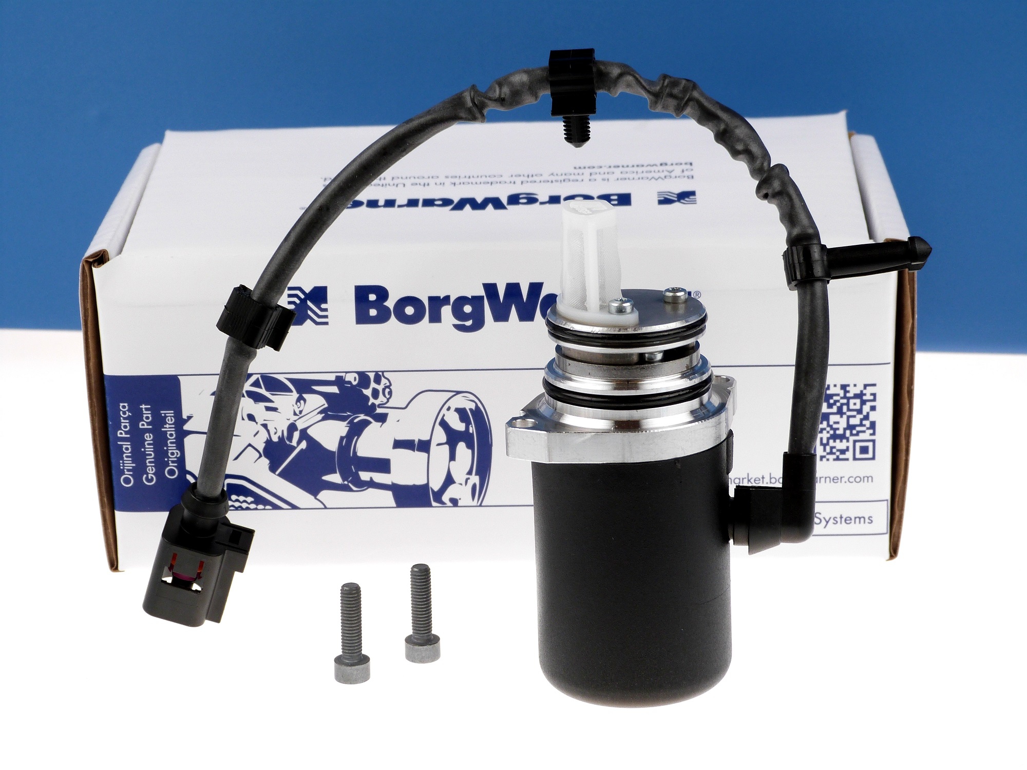 BORGWARNER DS118613 Vorladepumpe